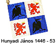 Hunyadi János zászló